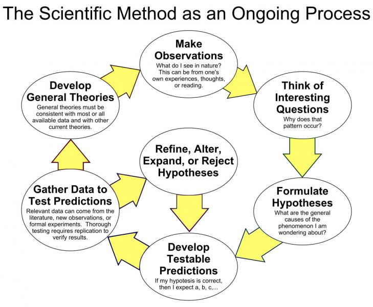 Diagram of Scientific Method Steps